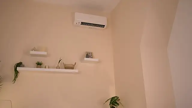 Show webcam de DemiBlush