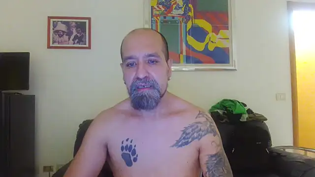 AMIRDIB2025 웹캠 쇼