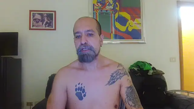 Show de AMIRDIB2025 na webcam