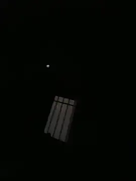 aarvicam 即時 XXX 聊天