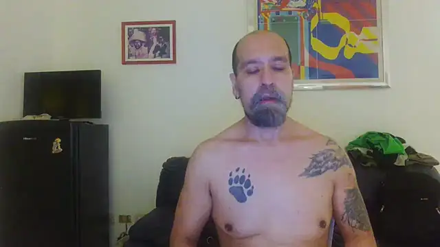 AMIRDIB2025 Webcam-Show