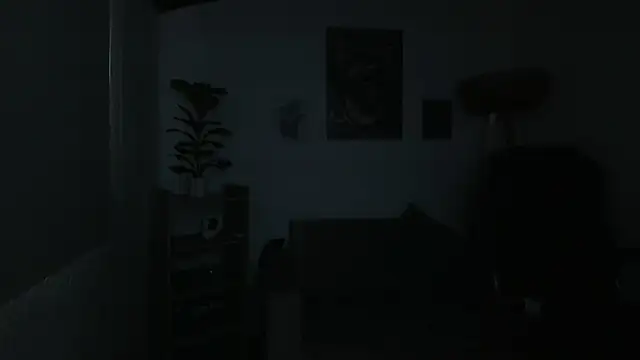LucyBloom_ 现场XXX聊天