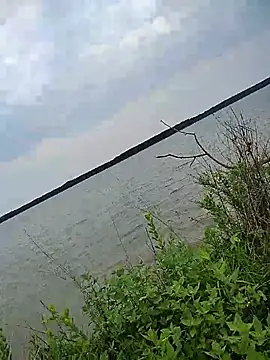 Cheekclappa728 Show Webcam