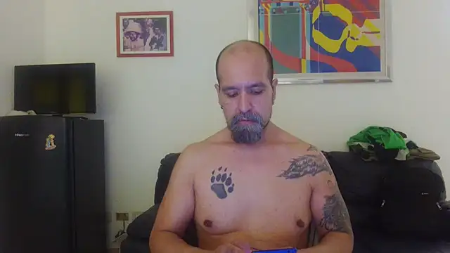 הופעת וובקאם של AMIRDIB2025