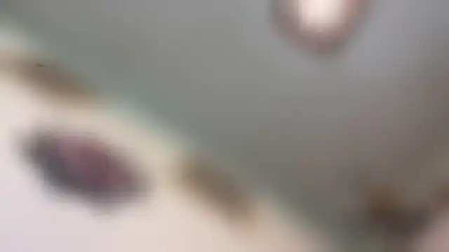 Jacody Webcam-Show