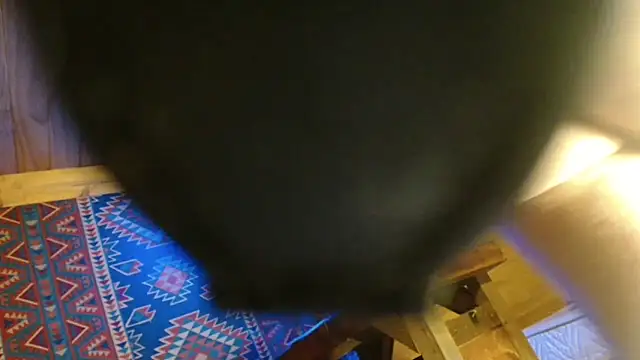 coquinfrenchaud 라이브 XXX 채팅