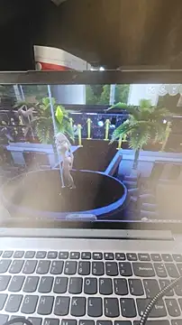 צ'אט XXX בשידור חי של ZeldaSneakyLink