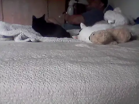 Chat XXX en directo de Silencio26
