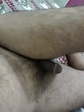 Chat +18 de GREAT-100 ao vivo