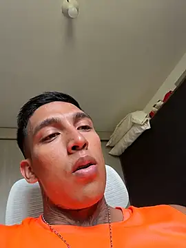 sendfer 라이브 XXX 채팅