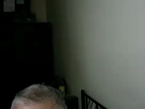 Pertunjukan Kamera Web 100Tauros