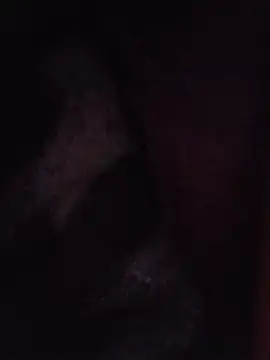 Sexxoophone Pertunjukan Webcam