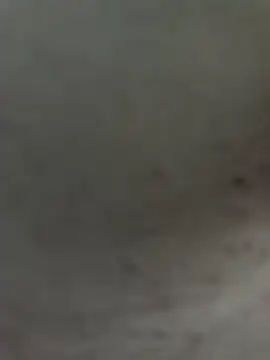 SternenSommer Pertunjukan Webcam