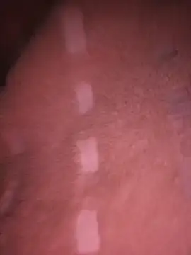 alondraabrown 라이브 XXX 채팅