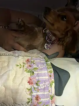sweetkacibaby: онлайн-секс-чат
