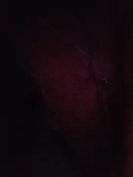 Show Webcam de Sexxoophone