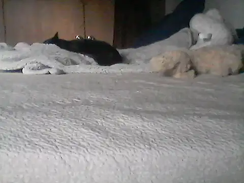 XXX chat uživo modela Silencio26
