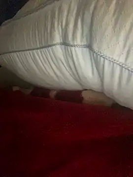 GusanoDelicioso Chat XXX in diretta