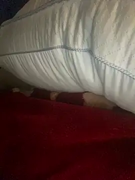GusanoDelicioso 라이브 XXX 채팅