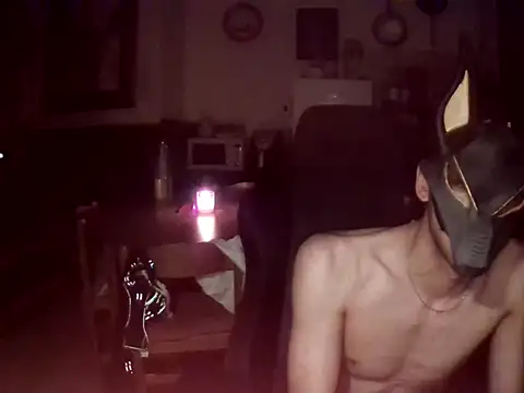 rex_umbraen Webbikameraesitys