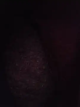 Sexxoophoneのウェブカメラショー
