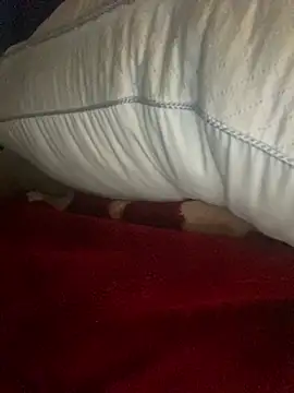 GusanoDelicioso – Naživo XXX chat