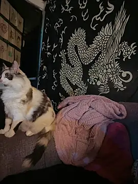 A_Good_Witch – Live XXX-chat