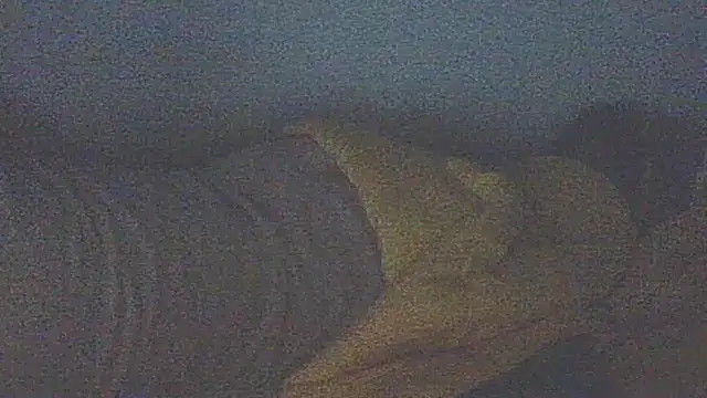 emr077 Show in webcam
