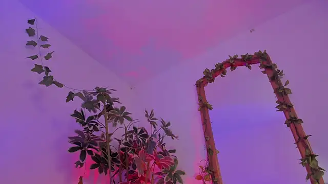BonnieCute_ Chat XXX live
