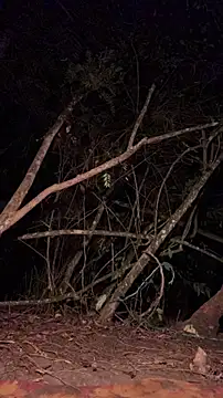 Chat XXX ao vivo de mariannella