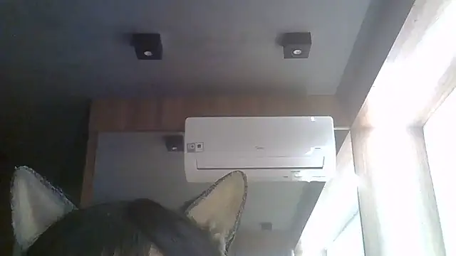 Show de webcam de SkinnyKitten