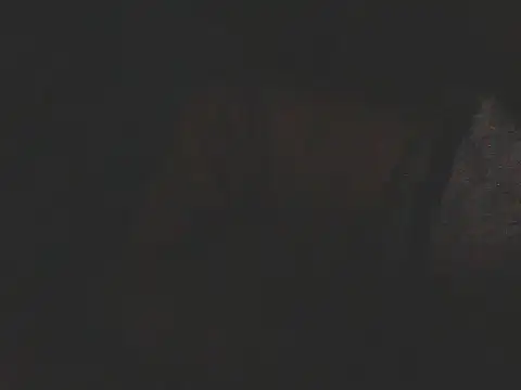 chilenodotado19cm Adlı Modelin Web Kamerası Şovu