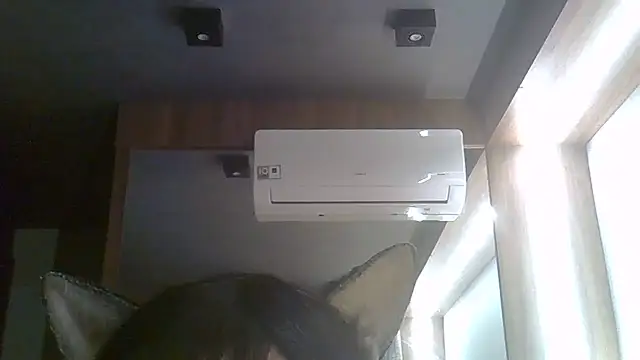 Chat XXX ao vivo de SkinnyKitten