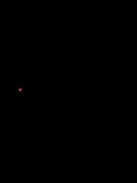 Webkamerová show papicook