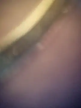 sexy___hotty লা ইভ XXX চ্যাট