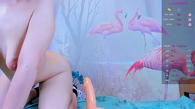 Gongjulee লাইভ XXX চ্যাট