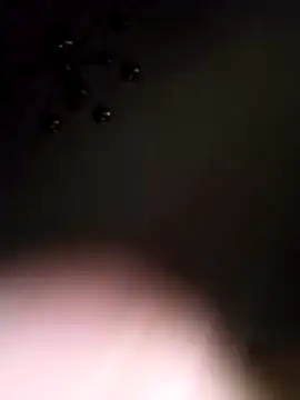 Bifititooz – webcam-show