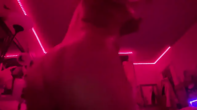 Živý XXX chat nekowaifuuu