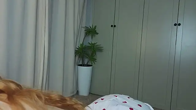 Онлайн чат XXX tgirlfoxy