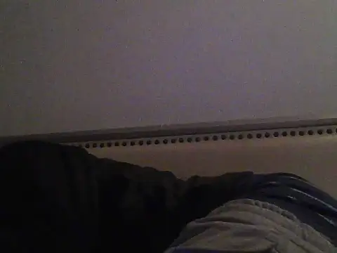 busnfatnutsLildee Show in webcam