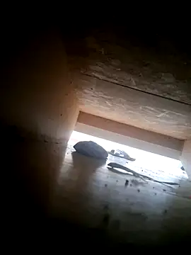 دردشة Laur9721 الجنسية المباشرة