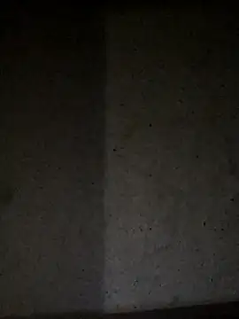 Leocesar37's Live XXX Chat