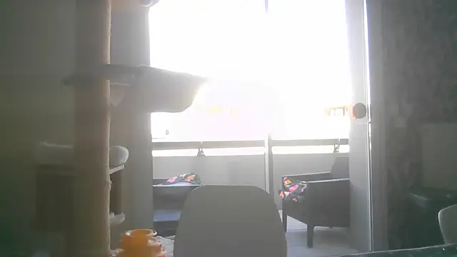 sexy007sexy Show Webcam