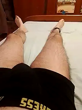 Show de Porcellone_ na webcam