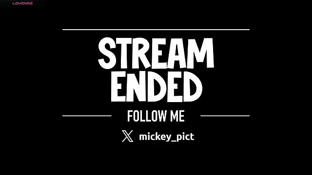 Show Webcam de mickeypict