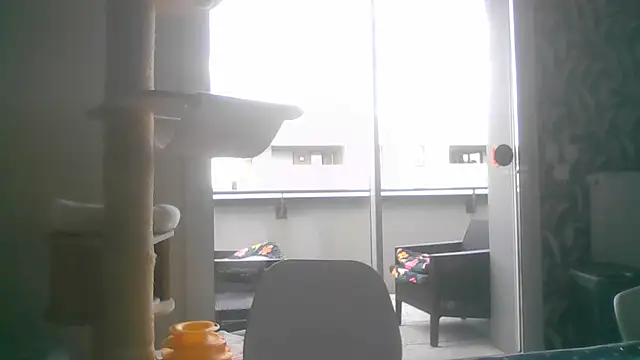 sexy007sexy Webcamshow