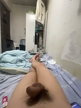 whcs 即時 XXX 聊天