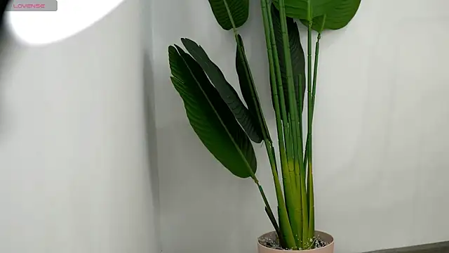 XXX chat uživo modela ViridianEmbers