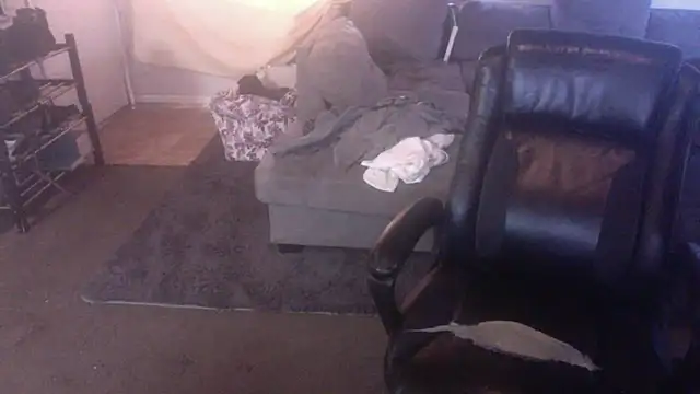 palidin1 Chat XXX live