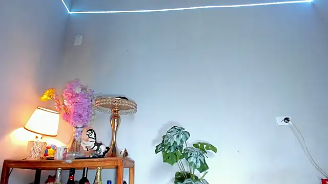 lucian_daviin Webbikameraesitys